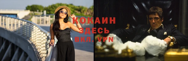стаф Алексеевка