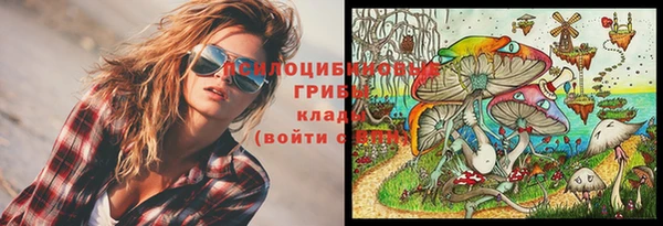стаф Алексеевка